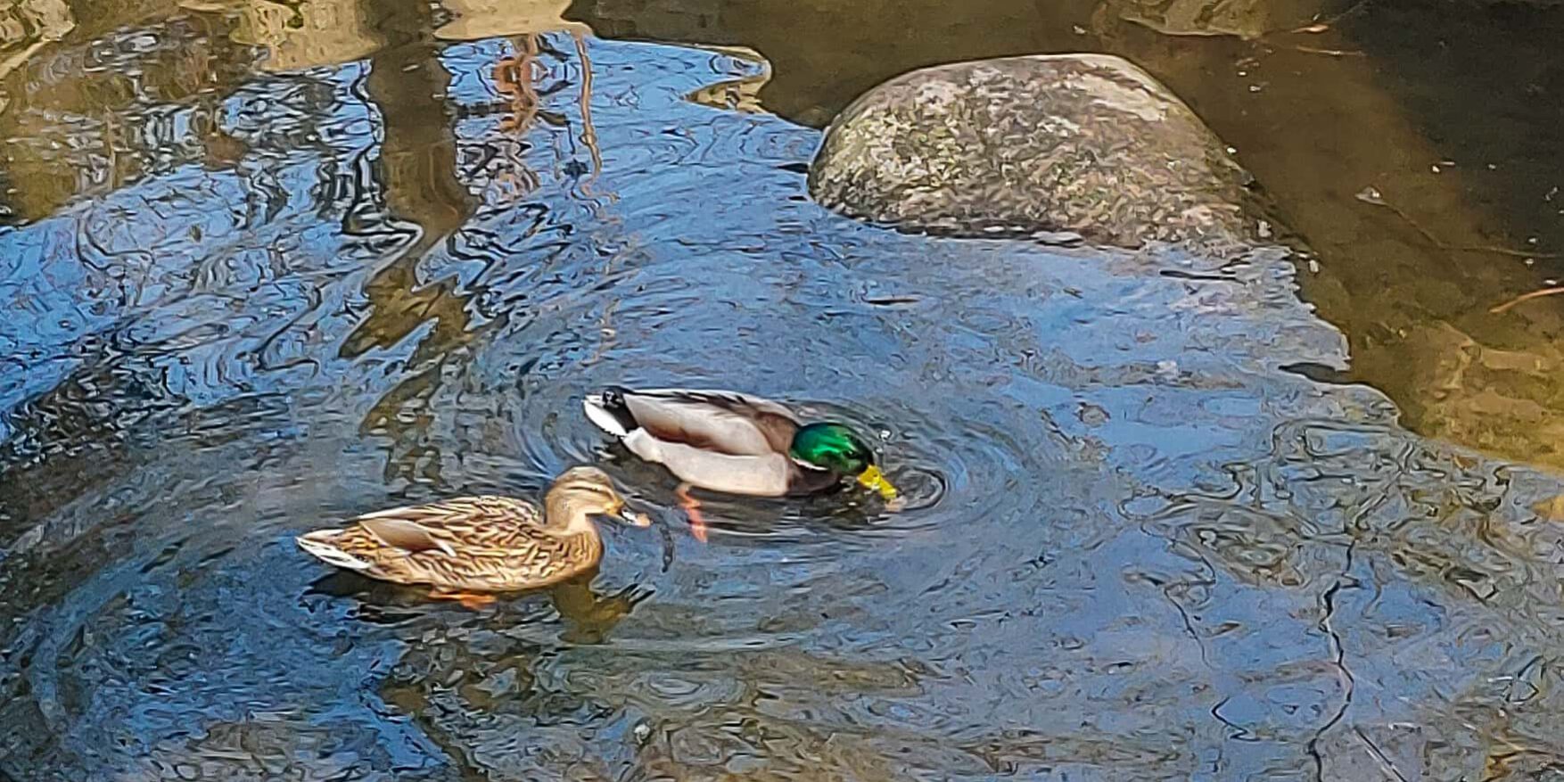 marienquelle_2024-03_1