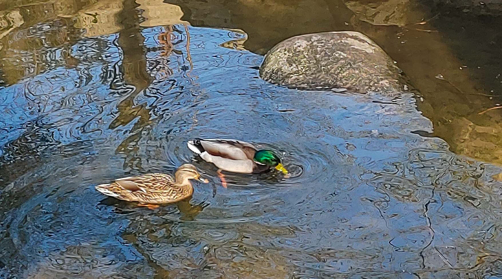 marienquelle_2024-03_1